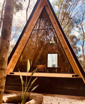 Forest Glam